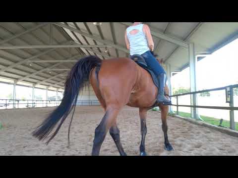 Bec and Madge 30/11/2020