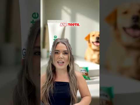 Dog Dental Care Products - Gingivite.Pet #gingivitis #doglover