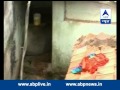 watch leopard attack caught on camera in chandrapur maharashtra