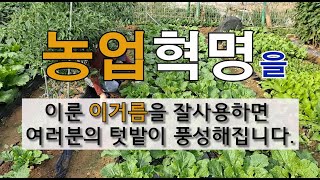농업 혁명을 이룬 이 거름을 사용하면 여러분의 텃밭이 풍성해집니다. #주말농장 #작물 잘 가꾸는 방법 #텃밭…