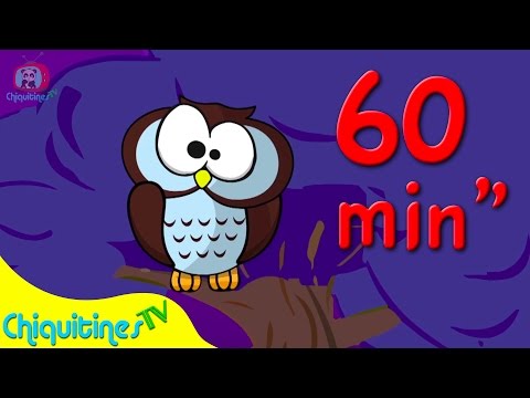 La Lechuza hace shh - 60 Minutos - Canción Infantil