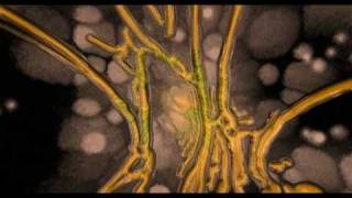 Izdatso - Western Nights (Harry Peat's Desert Storm Remix)