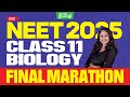 Final MARATHON Class 11 Biology Shuthi Maam Xylem NEET Tamil