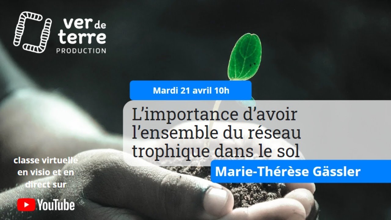 Le réseau trophique dans le sol, son importance, avec Marie-Thérèse Gässler
