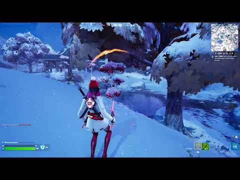 Fortnite 2025 01 08   02 37 54 343 Elimination DVR