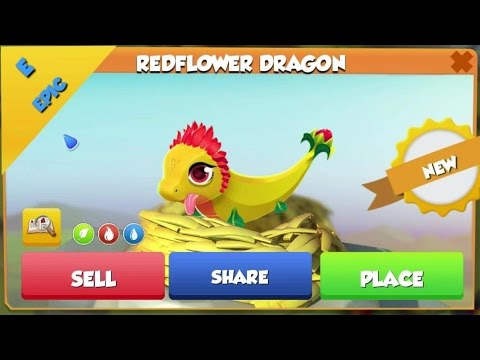 REDFLOWER DRAGON Hatching + Heroic Mode Fights! - Dragon Mania Legends #502