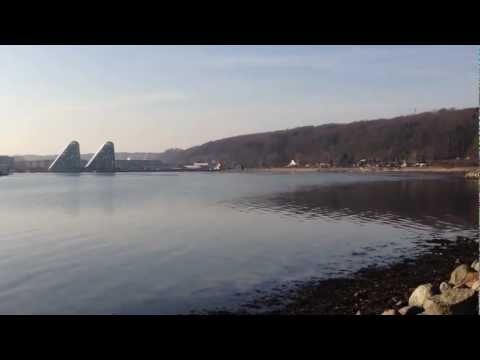 kystfiskeri vejle fjord