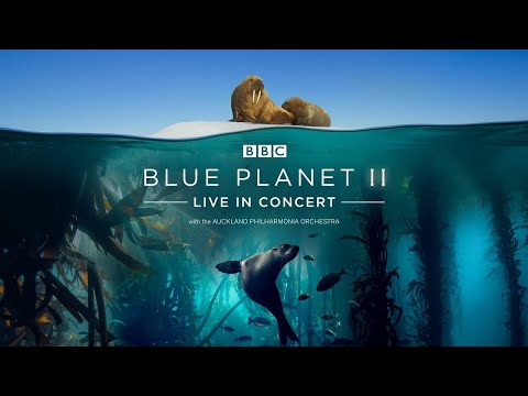 Blue Planet II Live in Concert | Auckland 2021