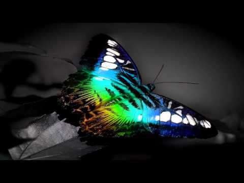 Piotr Bejnar - Rainbow Pills (Yapacc Remix)