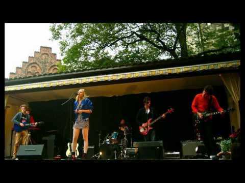 Wild Fields - Where The Lights Shine