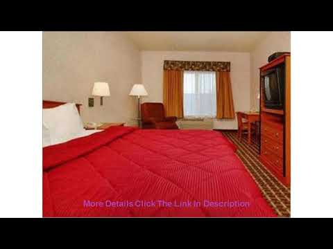 Review Comfort Inn Lathrop - Stockton Airport Hotel | United States