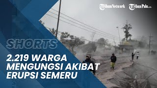 Gunung Semeru Kembali Erupsi, Sebanyak 2.219 Warga Mengungsi ke 12 Titik Pengungsian