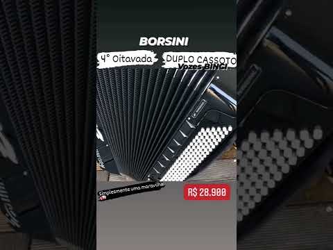 Acordeon BORSINI Duplo Cassoto.. ( VENDIDA)