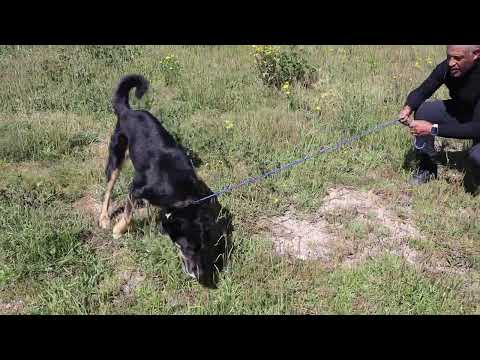 Vídeo de MIMI