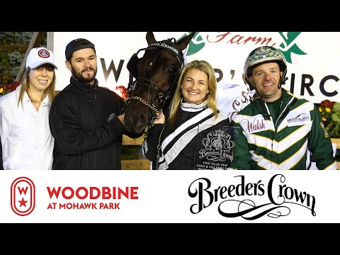 2019 Breeders Crown Final: 2YO Colts & Geldings Pace | Woodbine At Mohawk Park, October 25 - Race 9