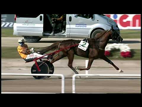 Napoli Trotto 03/10/2021 - 4ª corsa - 72° G.P. Lotteria 3ª batteria