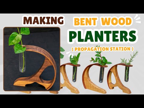 Bending Wood to Make Propagation Stations