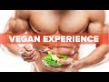 My Vegan Experience - Final Thoughts