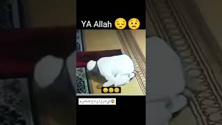 Download lagu pria meninggal saat melakukan sajood | shalat mp3