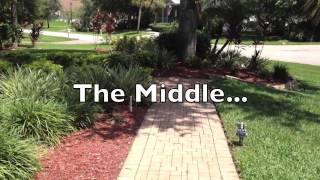 Stop Barking - Golden Retriever - Dog Training of Fort Myers - Patrick Logue