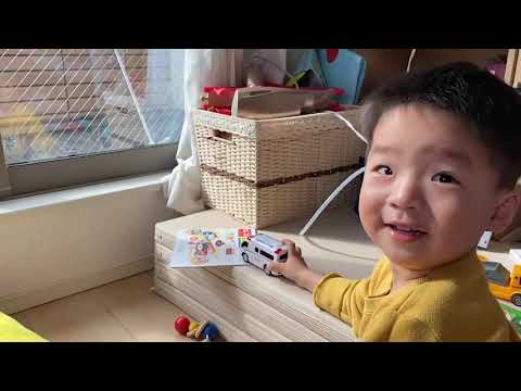 こども学科 【成長記録】葵&ハチ