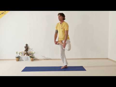 Einbeinige Stehende Vorwärtsbeuge - Vrikshasana Variation - 84 Hauptasanas - Teil 71