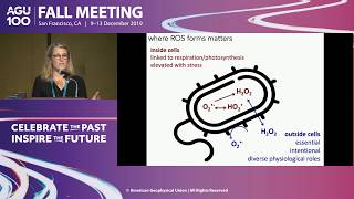 The William S. and Carelyn Y. Reeburgh Lecture