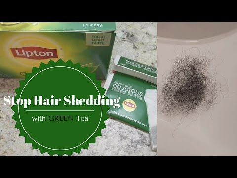 download lagu mp3 mp4 Green Tea Causes Hair Loss, download lagu Green Tea Causes Hair Loss gratis, unduh video klip Green Tea Causes Hair Loss