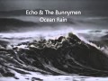 Echo & The Bunnymen  Ocean Rain