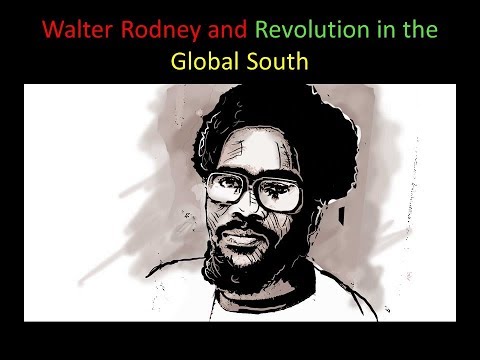 Walter Rodney and revolution in the Global South - Chin Chukwudinma