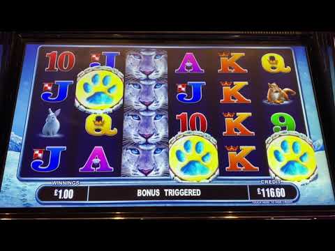 £200 vs Snow Leopard Arcade FOBT Slot. £2 a go £500 Jackpot