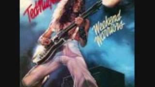 Stormtroopin&#39;-Ted Nugent