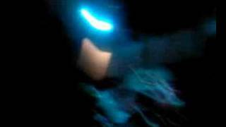 Beyond all reason love crossed pistols