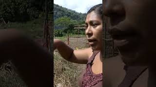 They are called the landless and they occupy virgin territory to survive
