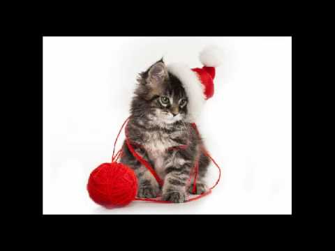 Aleksandra i Piotro Pawłowscy - Jeśli w ciemną noc grudniową