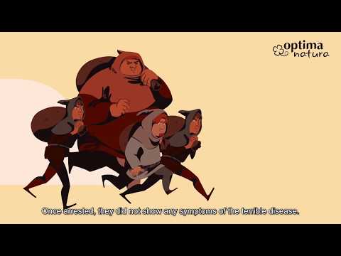 Optima Natura - Four Thieves Oils