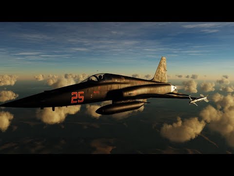 DCS World F-5E: Two Tigers vs. Four Hornets Dogfight