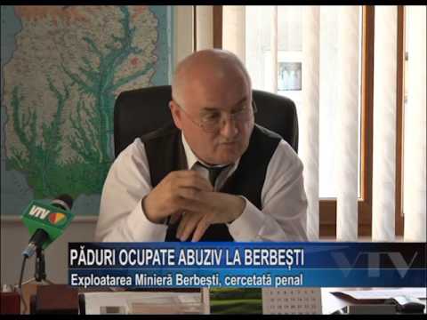 PADURI OCUPATE ABUZIV LA BERBESTI