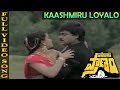 Kaashmiru Loyalo Video Song Pasivadi Pranam Movie Chiranjeevi Vijayasanthi Sumalatha