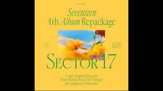 Download lagu SEVENTEEN (세븐틴) - FALLIN' FLOWER (Korean ver.) AUDIO mp3