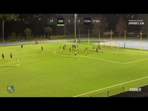 🎥 Yellow-Green Griffin - Wonderful Source | Highlights