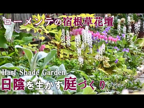 日陰でも育つ芳香植物：トップ5をご紹介します！  庭園