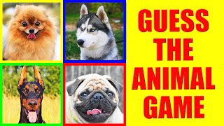 Guess the DOG BREED Challenge | Dog Names Quiz to Test Your Knowledge