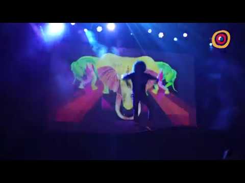 Festival MED 2017 - Video Promocional