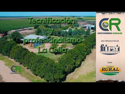 Tecnificación y profesionalismo -  La Celia - CR#1078