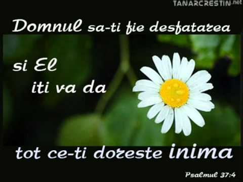 Emil Chiorean - Daca as fi stapan