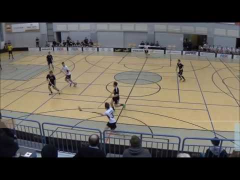 MAALIKOOSTE Sch - Blackbirds