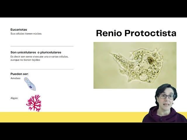 Vídeo relacionado con Biología i Geología. 1 Secundaria. Revola - 9788413928968