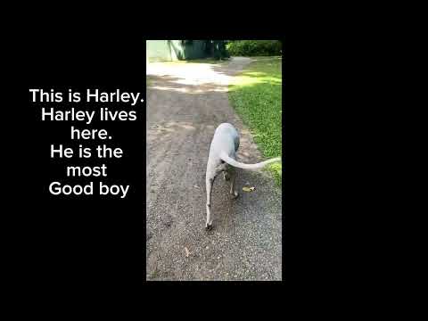 Misty Mountains Rainforest Retreat