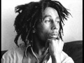 Bob Marley Lively Up Yourself The Wailers Instrumental